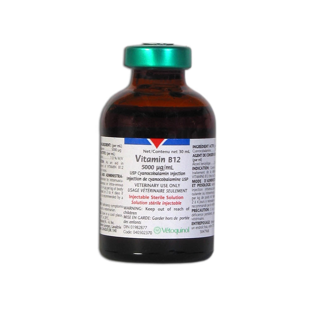 Vitamin B12 Injectable