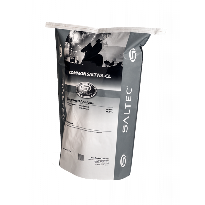 Bagged Common Salt