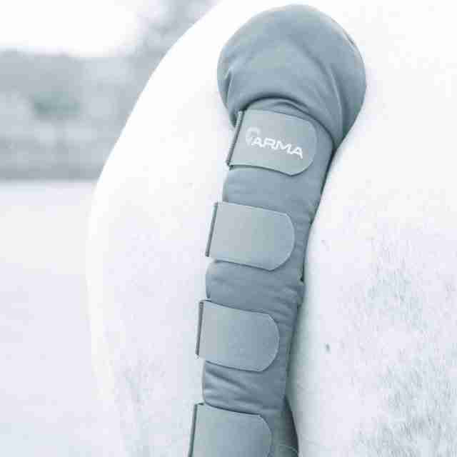 Padded Tail Guard
