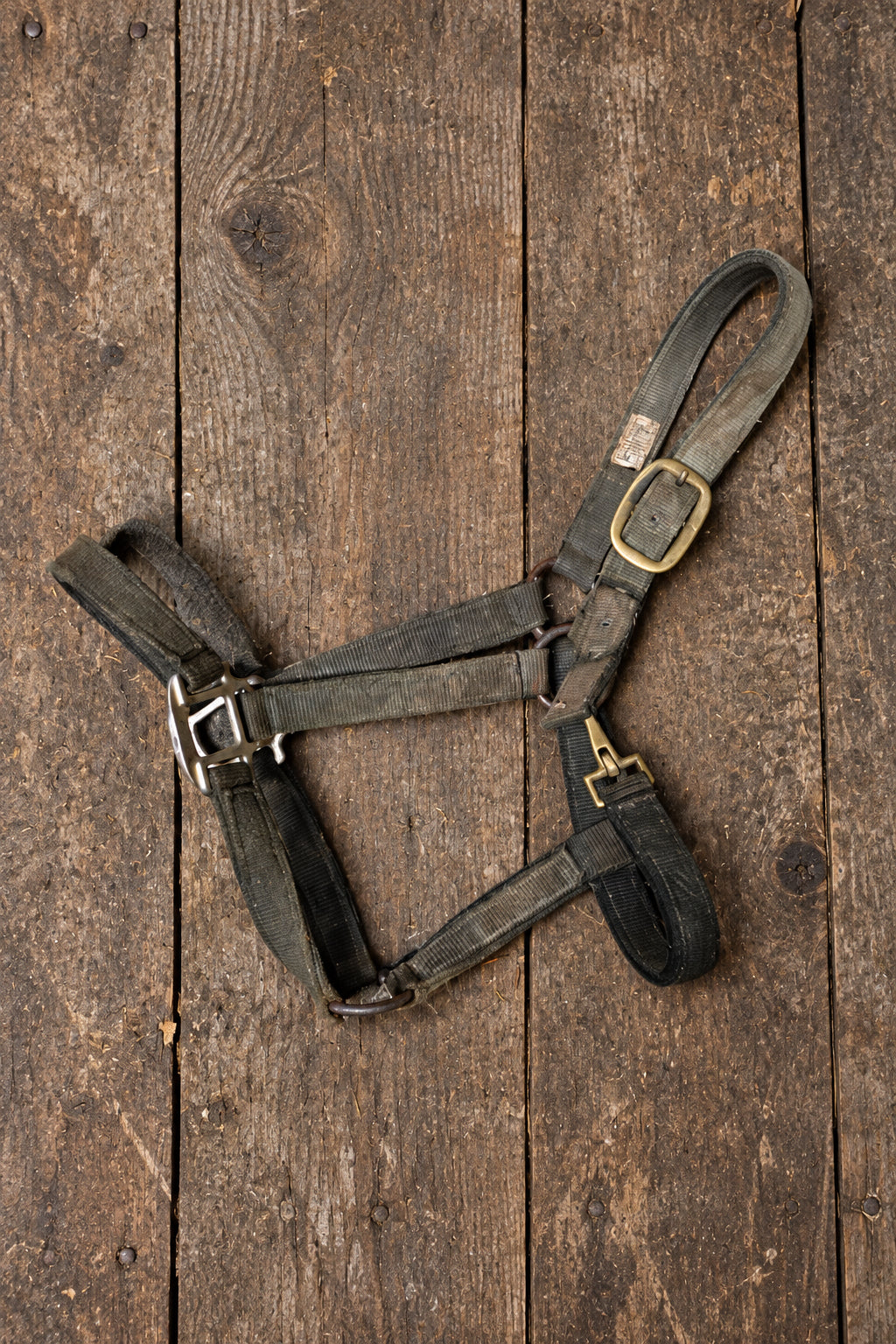 Black Nylon Halter- Full