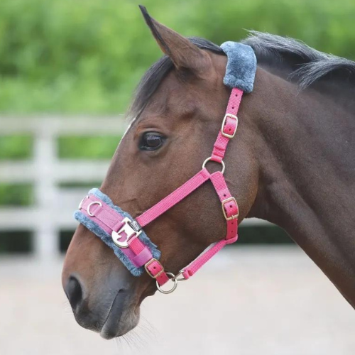 Shires Fleece Lined Lunge Cavesson