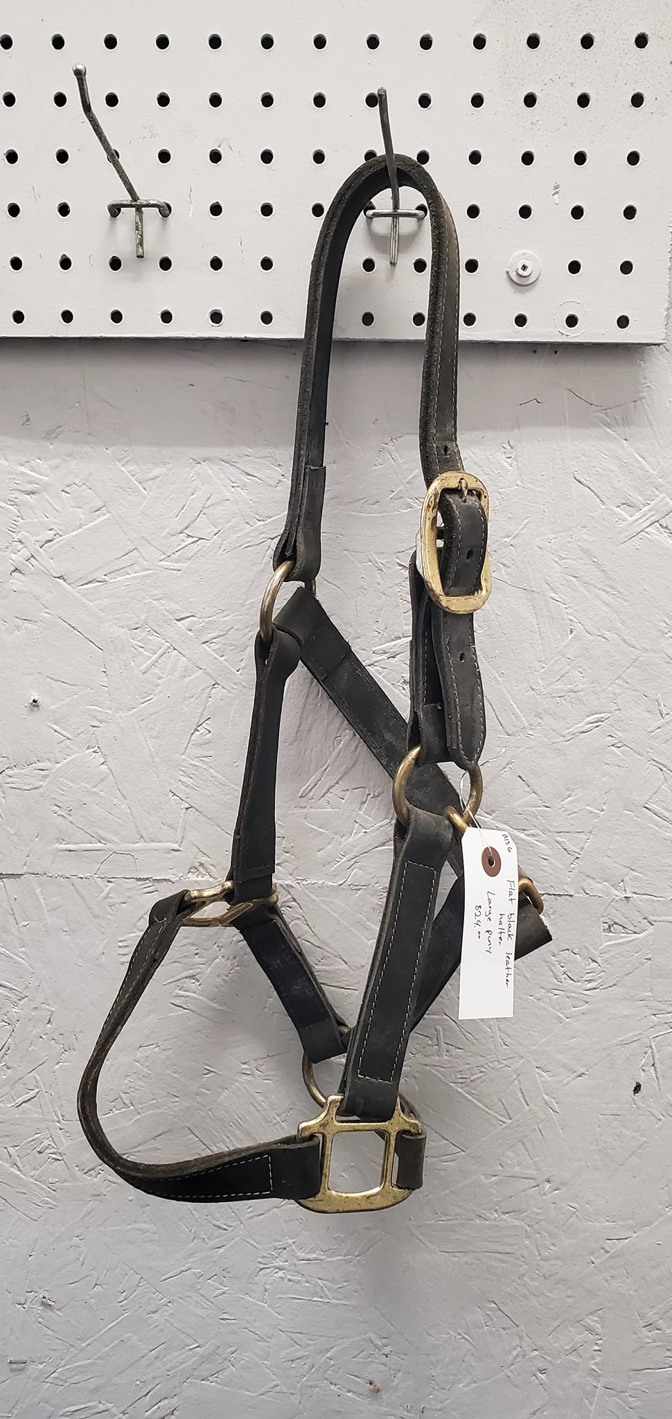 Leather Halter-Cob