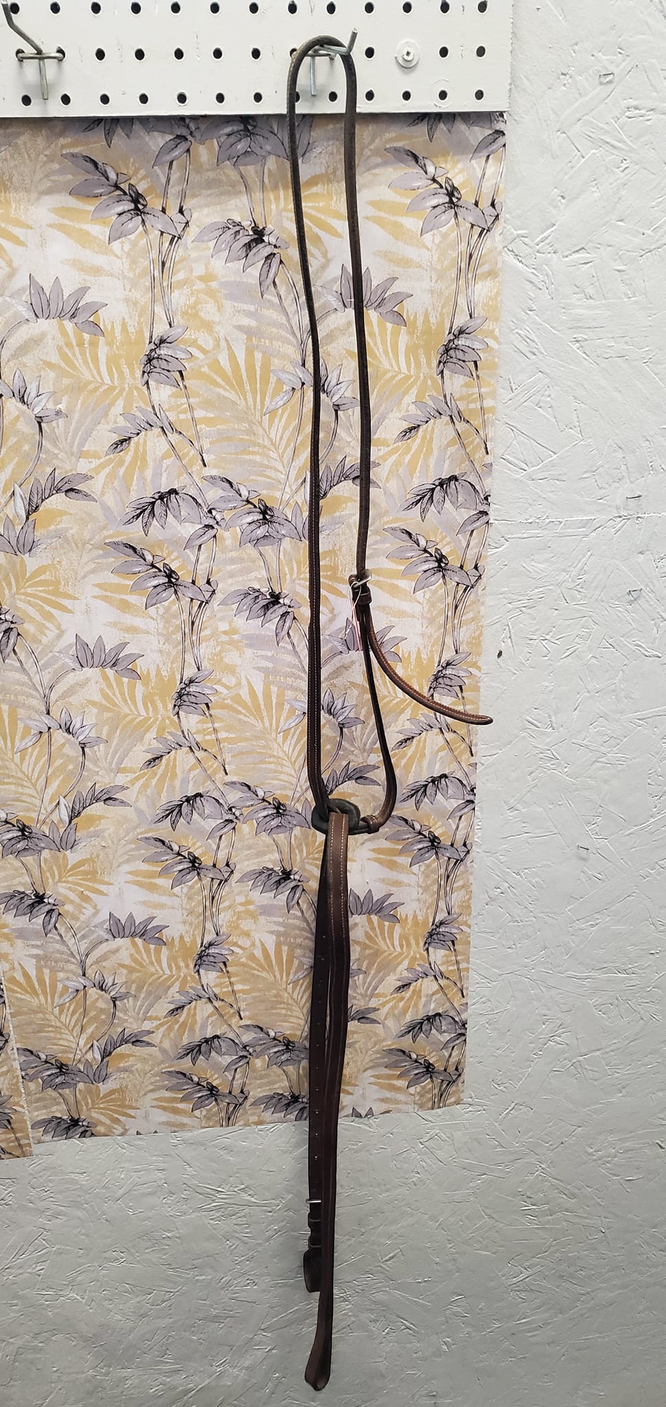 Dominis Standing Martingale