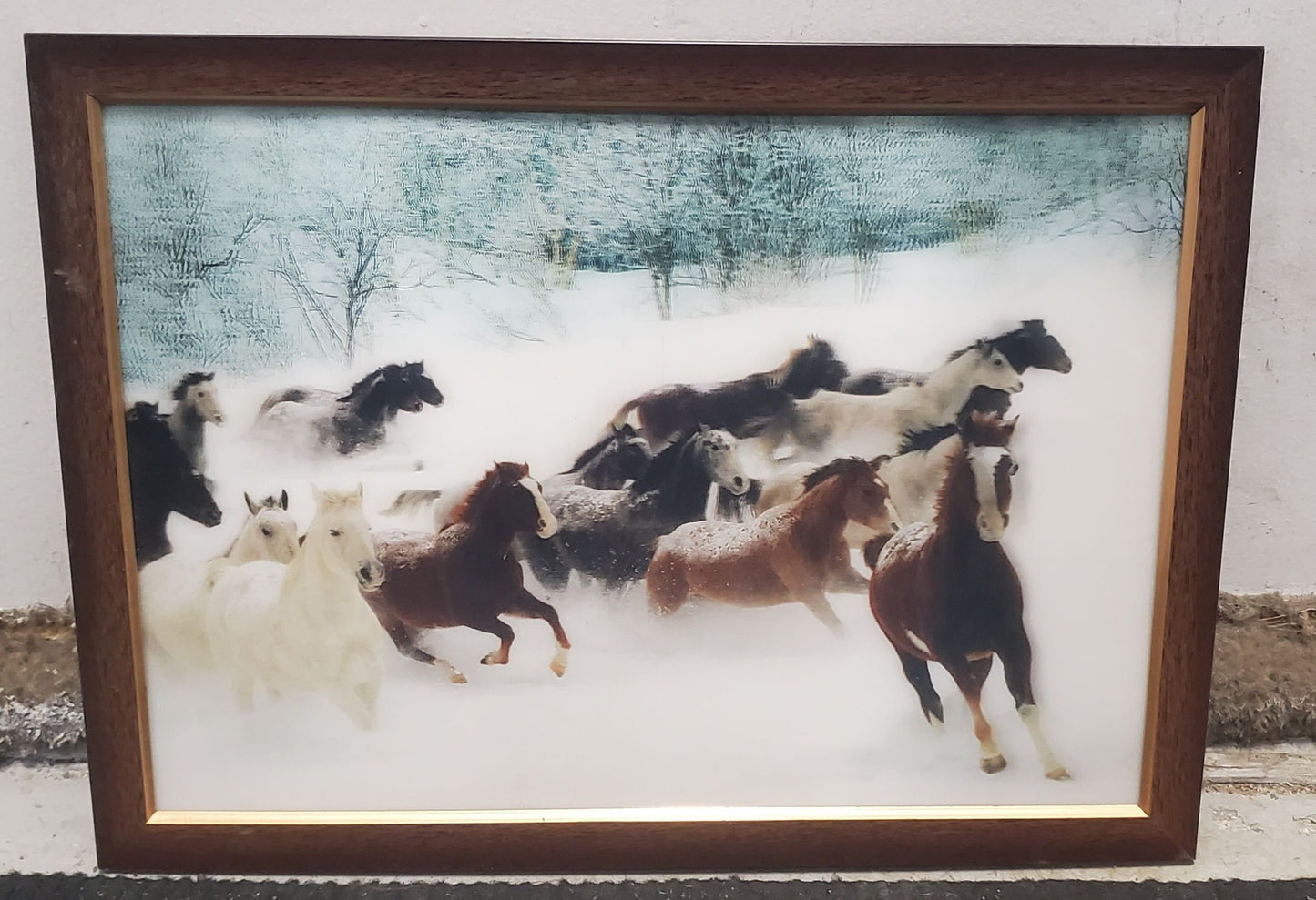 3D Horse Picture