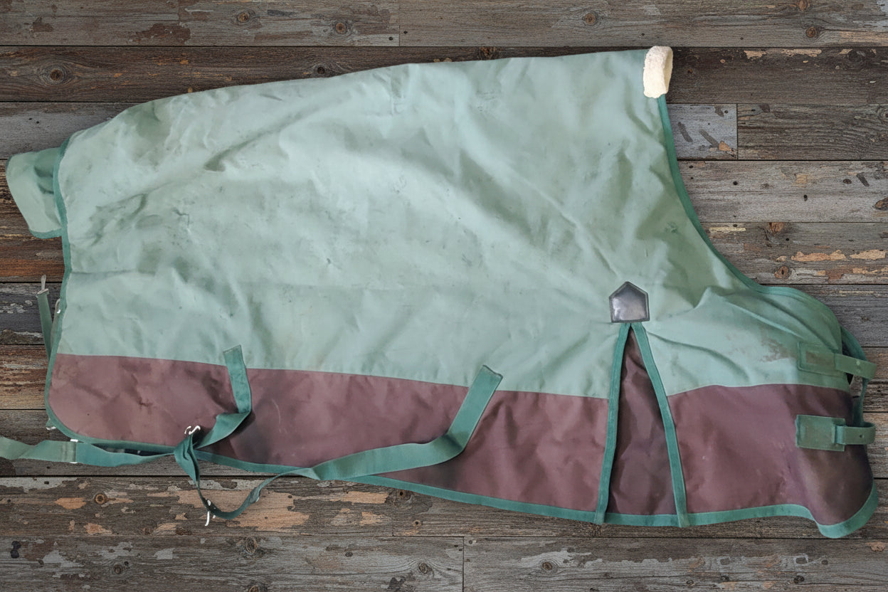 78" Saxon Medium Weight Winter