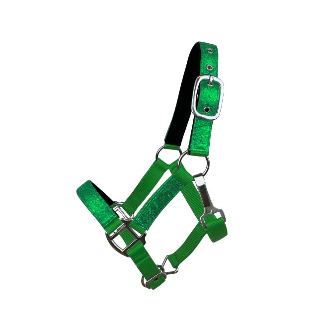 Licol en nylon pailleté pour poney