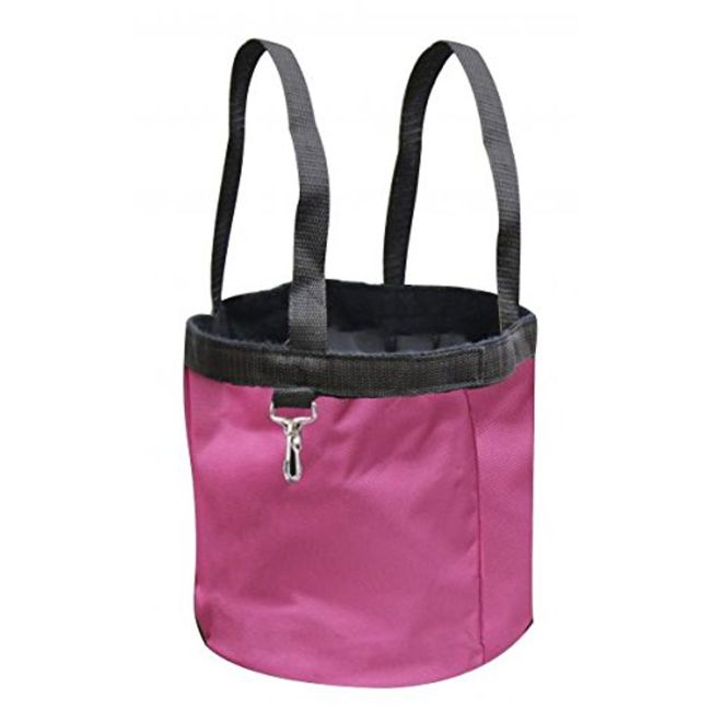 Pink Grooming Tote