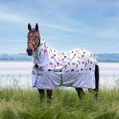 Ice Cream Fly Sheet