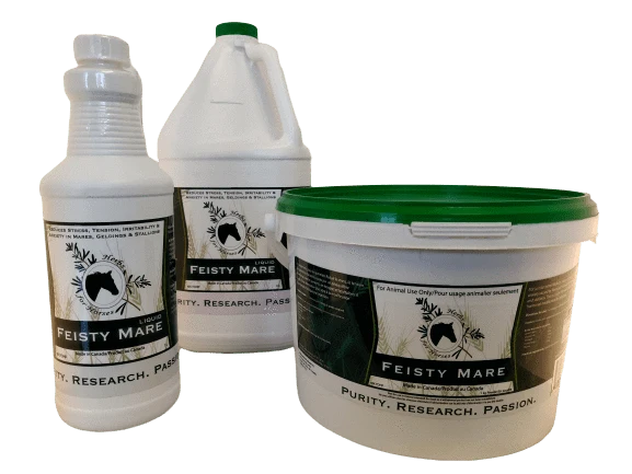 Herbs for Horses- Feisty Mare