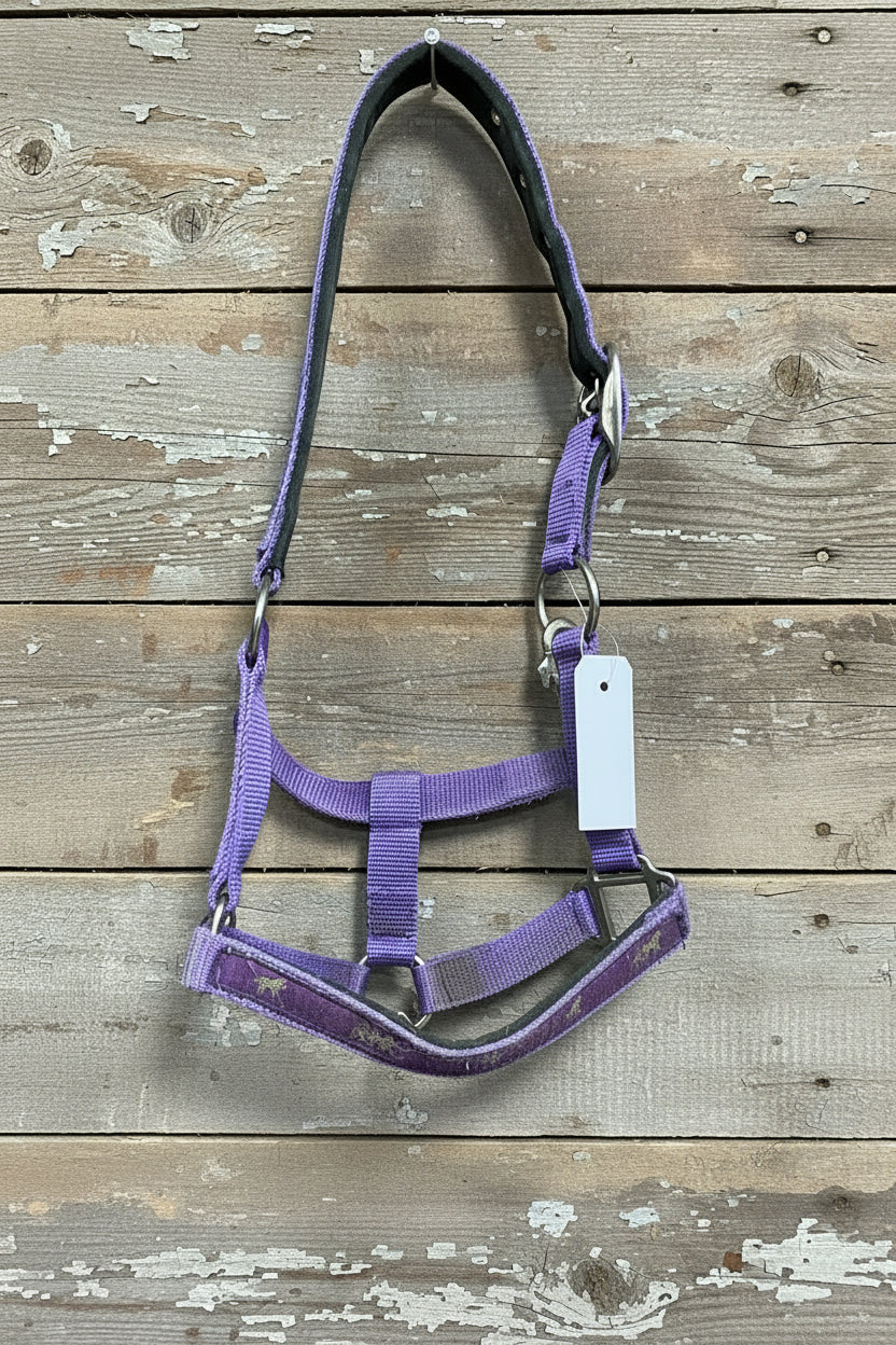 Purple Nylon Halter-Cob