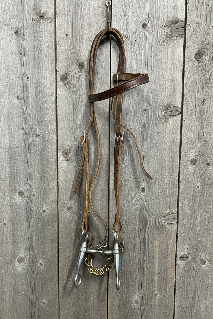 Headstall w/Bit