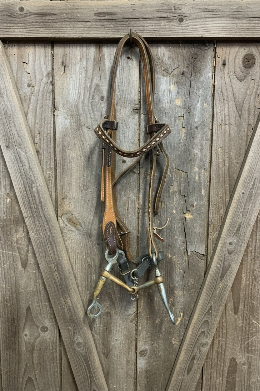 Headstall w/Bit