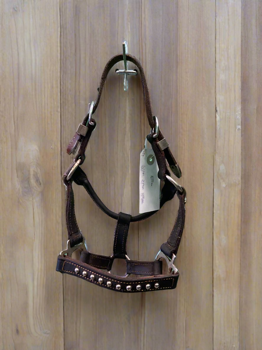 Leather Halter- Mini