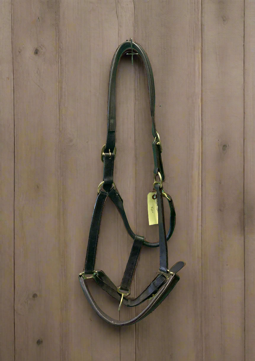 Val Du Bois Padded Leather Halter- Warmblood/Draft