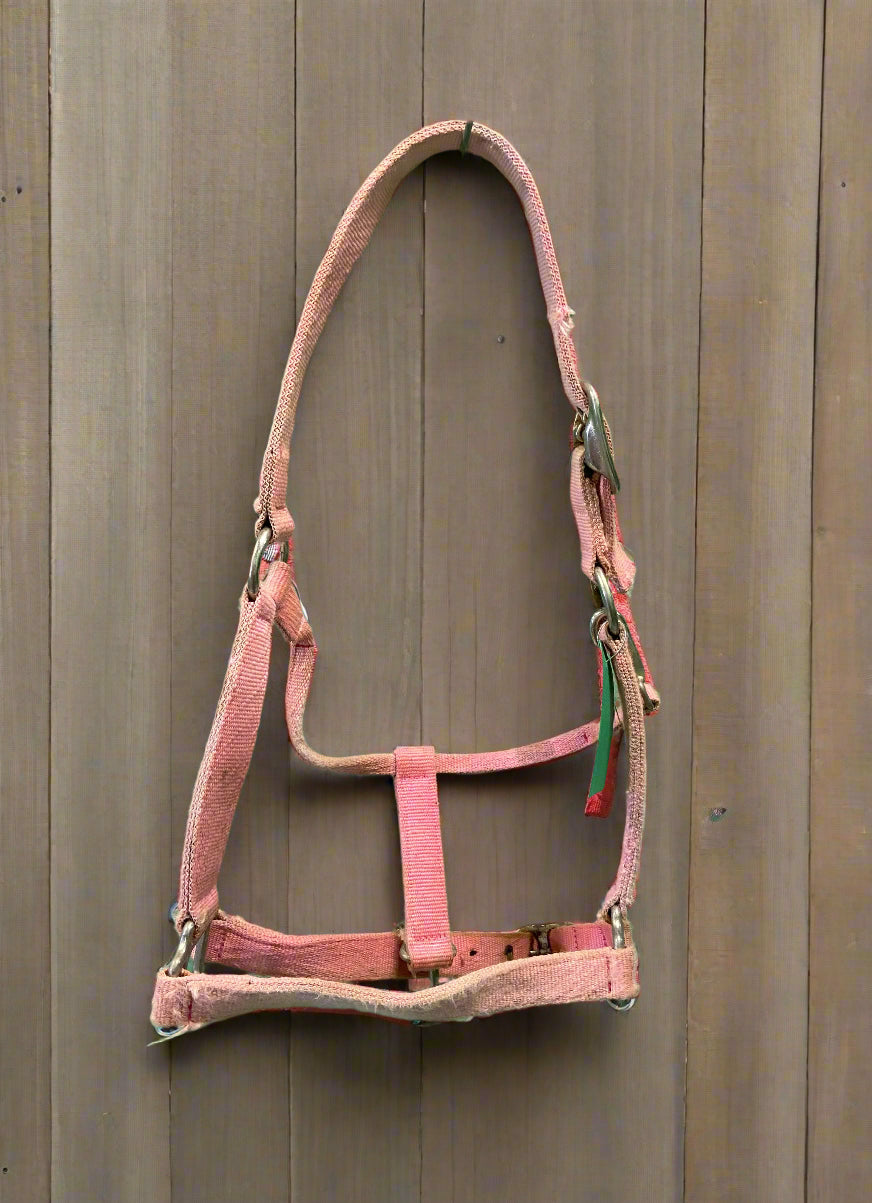 Nylon Halter-Cob