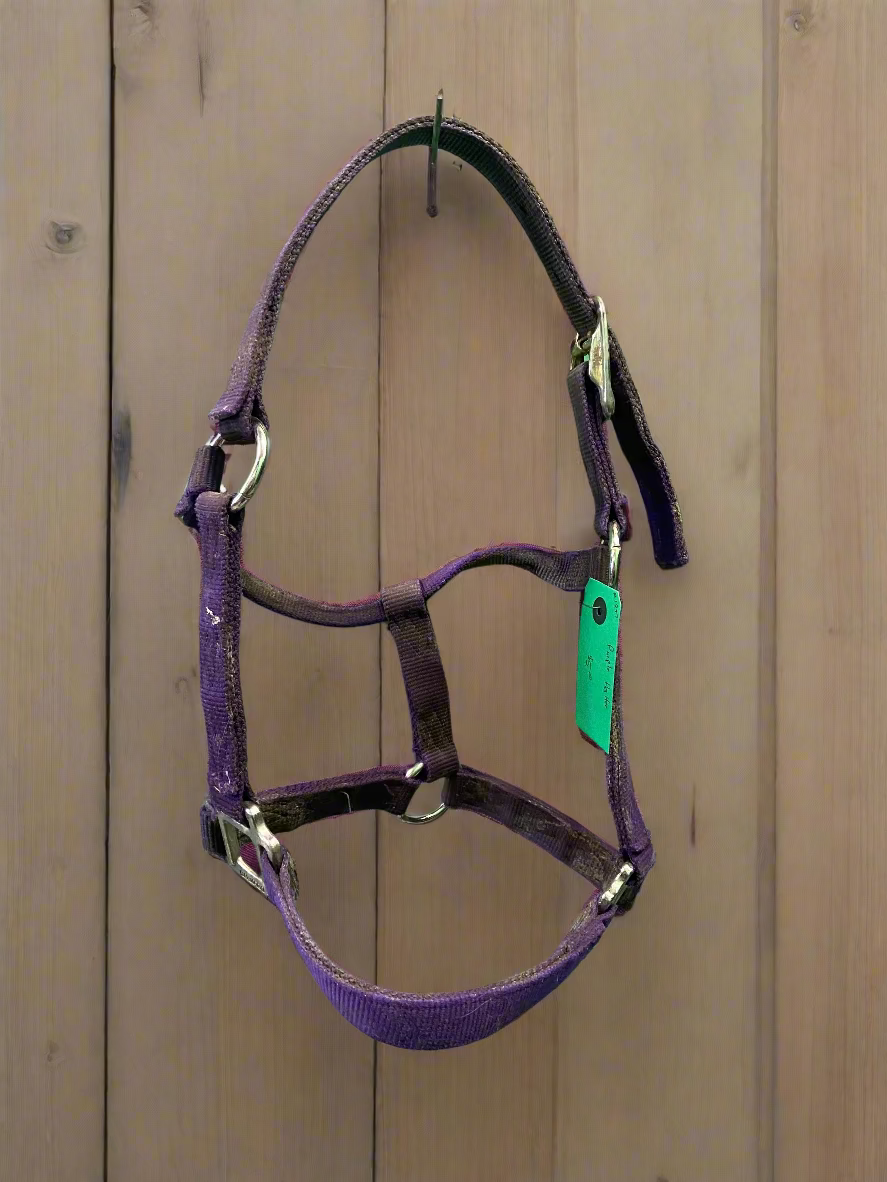 Nylon Halter- Cob