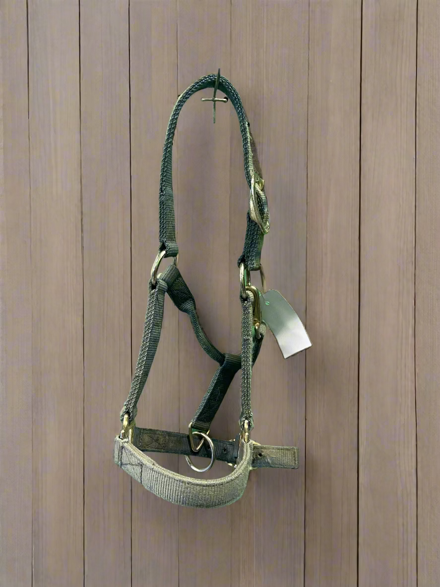 Nylon Halter-Yearling