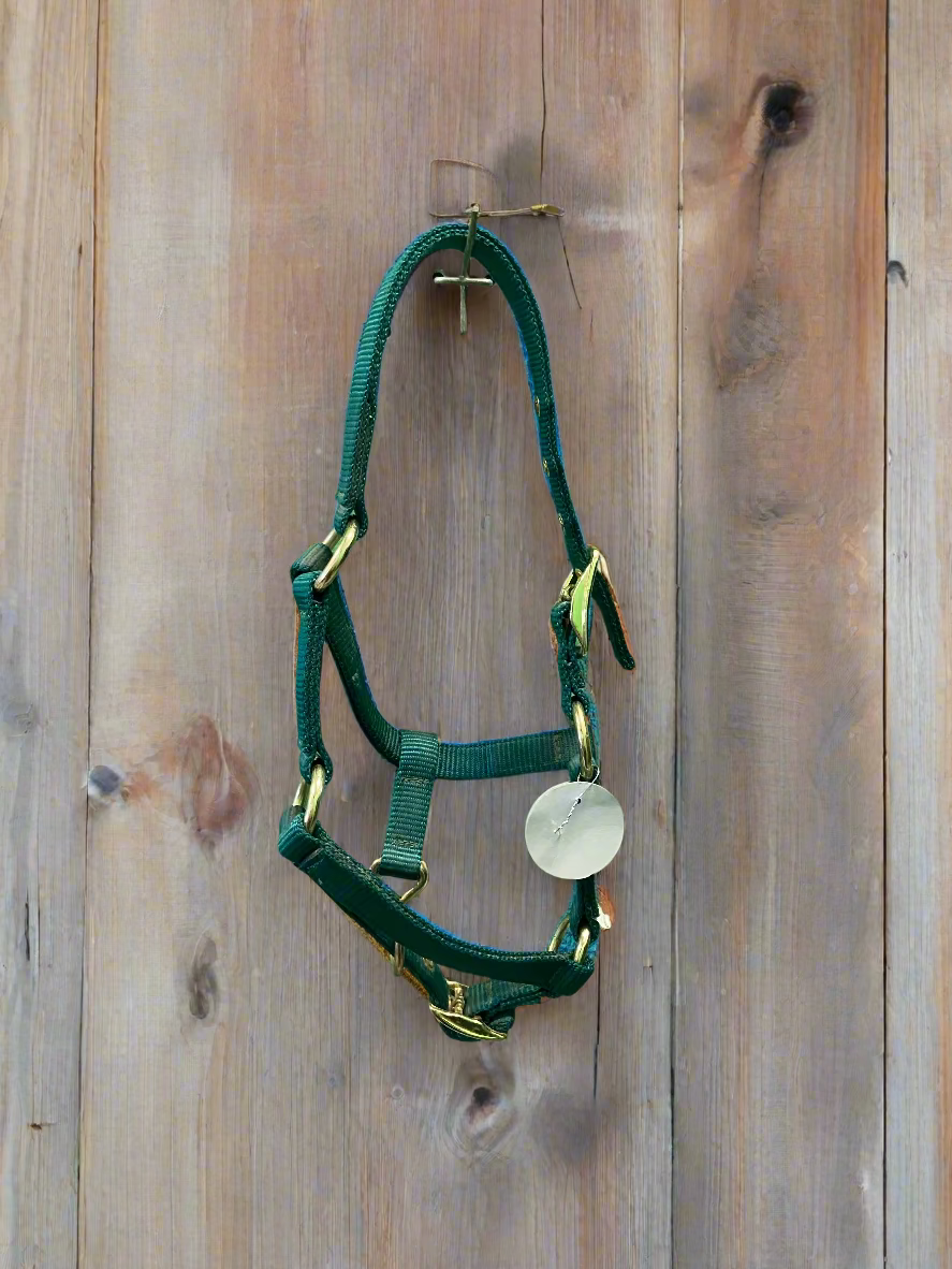 New! Nylon Halter- Mini/Foal
