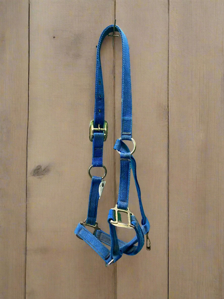 Nylon Halter- Cob
