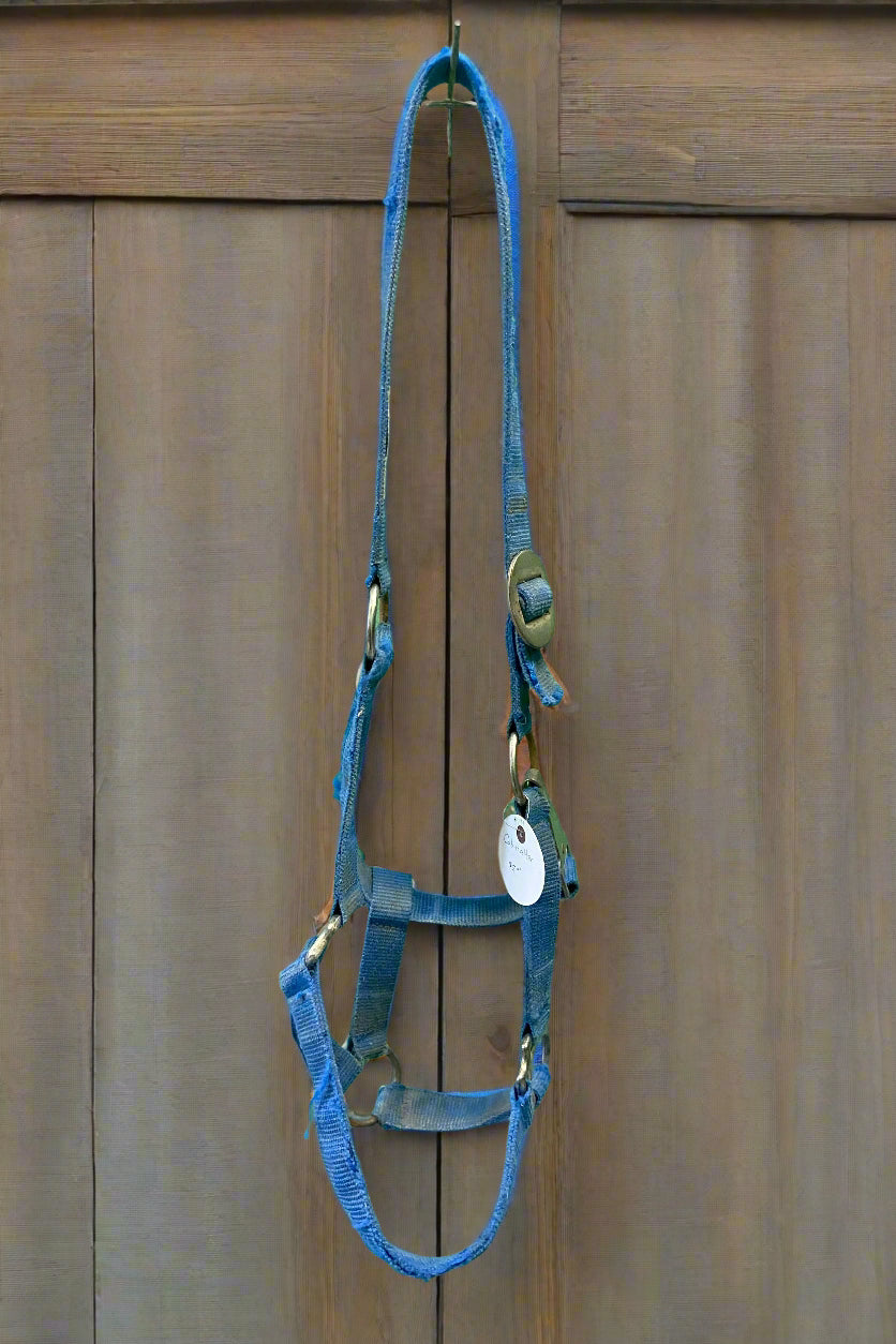Nylon Halter- Cob