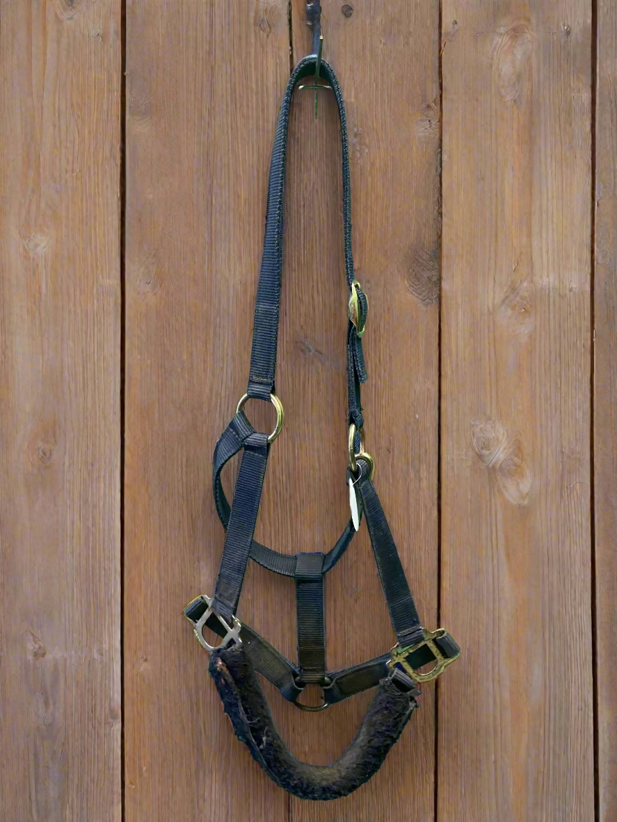 Nylon Halter- Horse