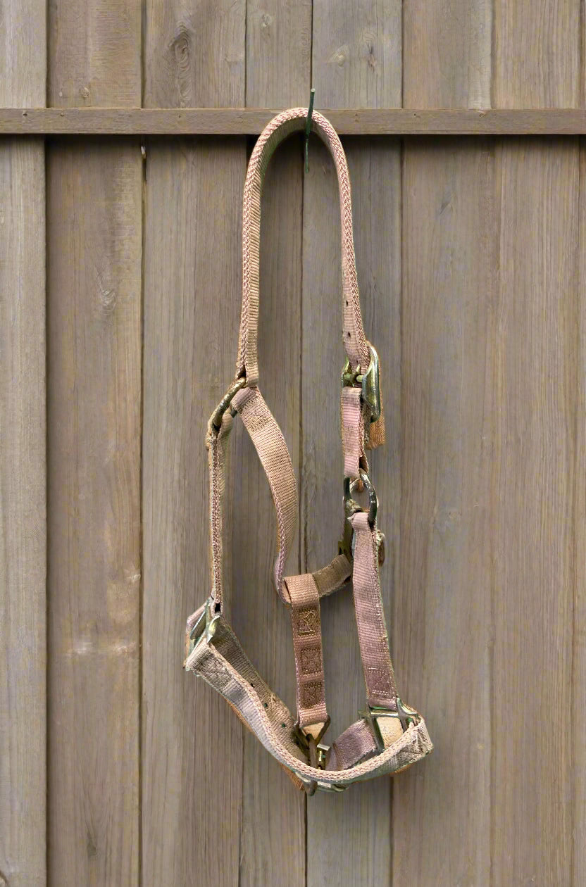 Nylon Halter- Pony