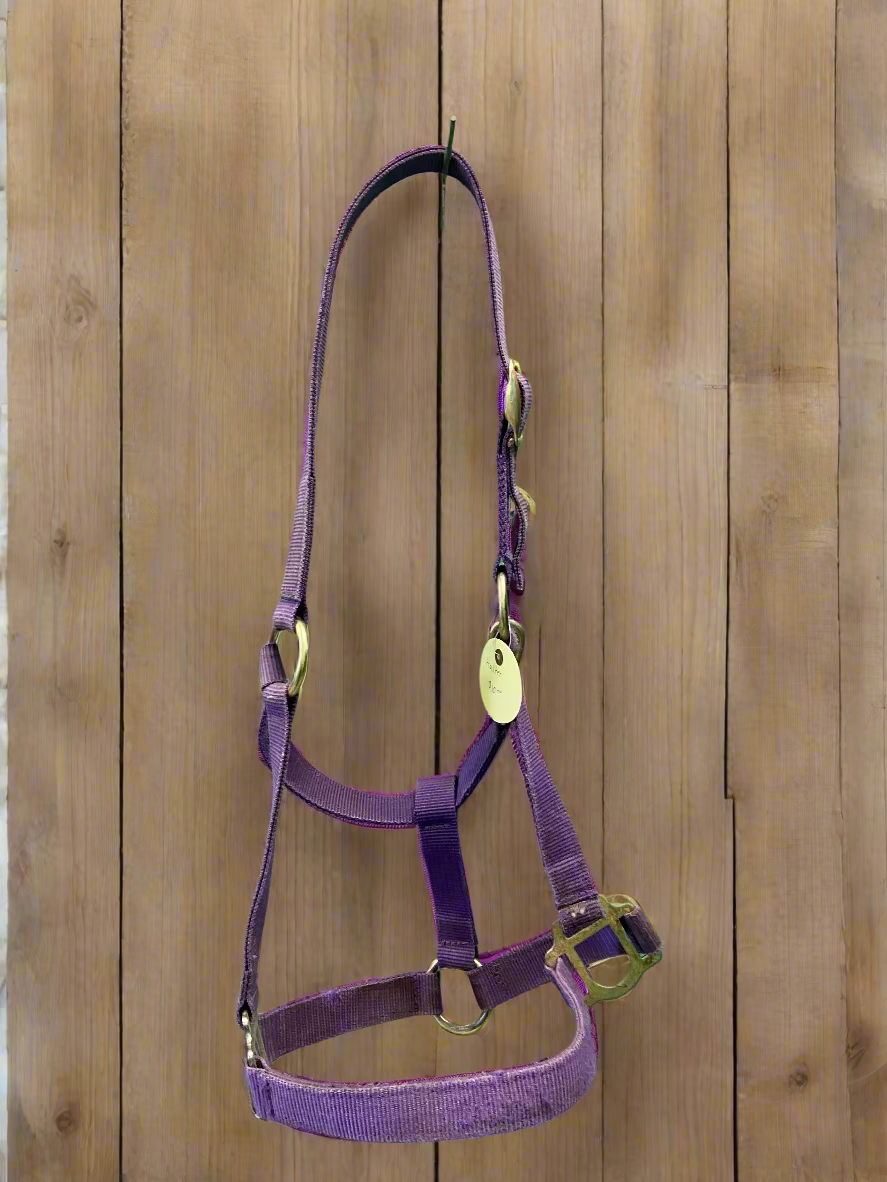 Nylon Halter- Horse
