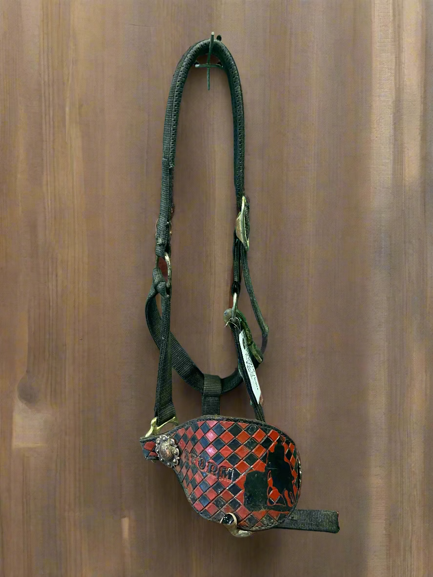 Nylon Halter w/Bronc Nose- Horse