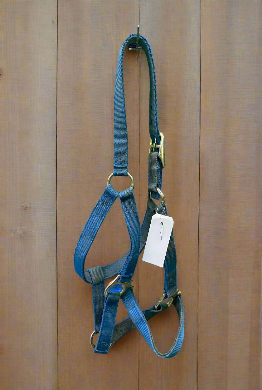 Nylon Halter- Horse