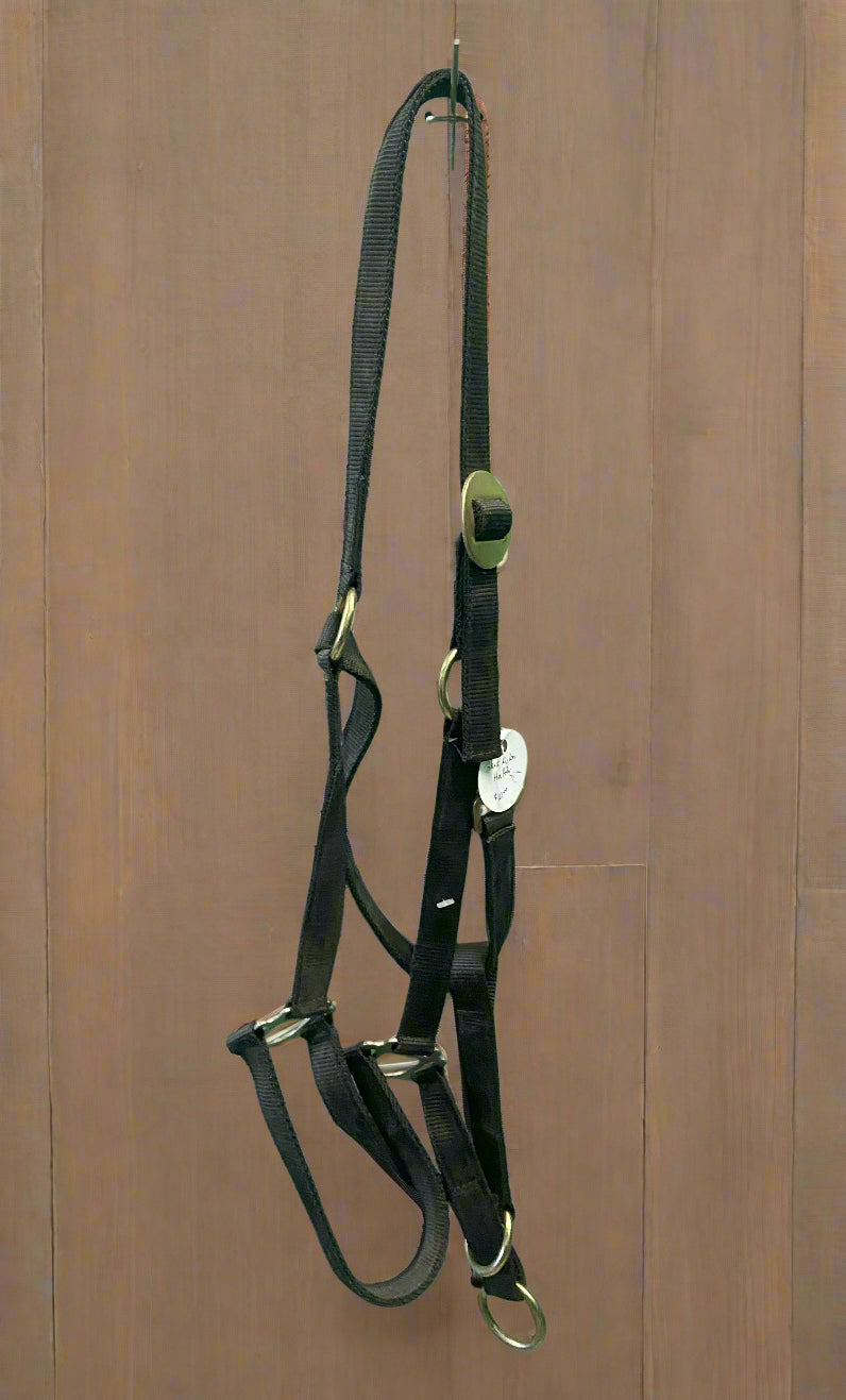 Nylon Halter- Warmblood/Draft