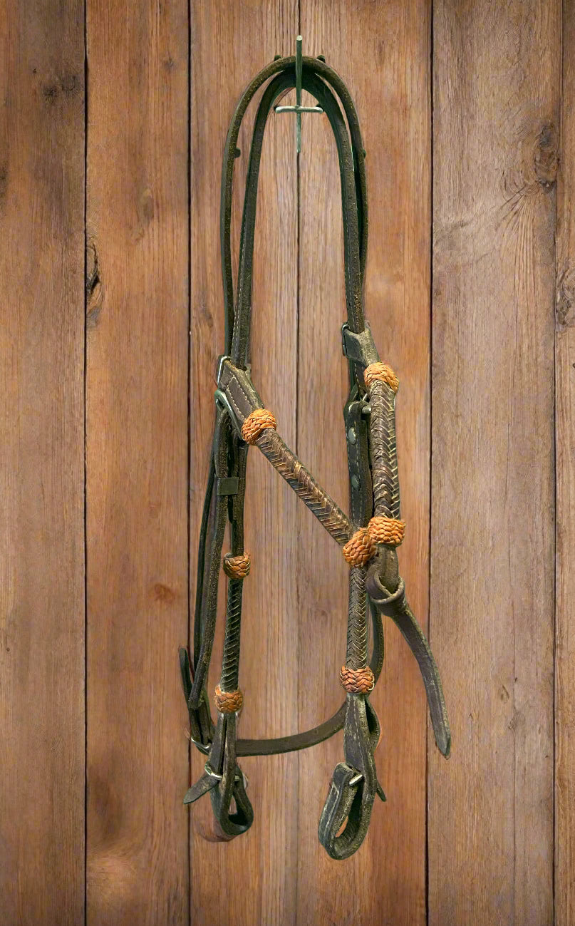 Futurity Knot w/Rawhide Accent Headstall