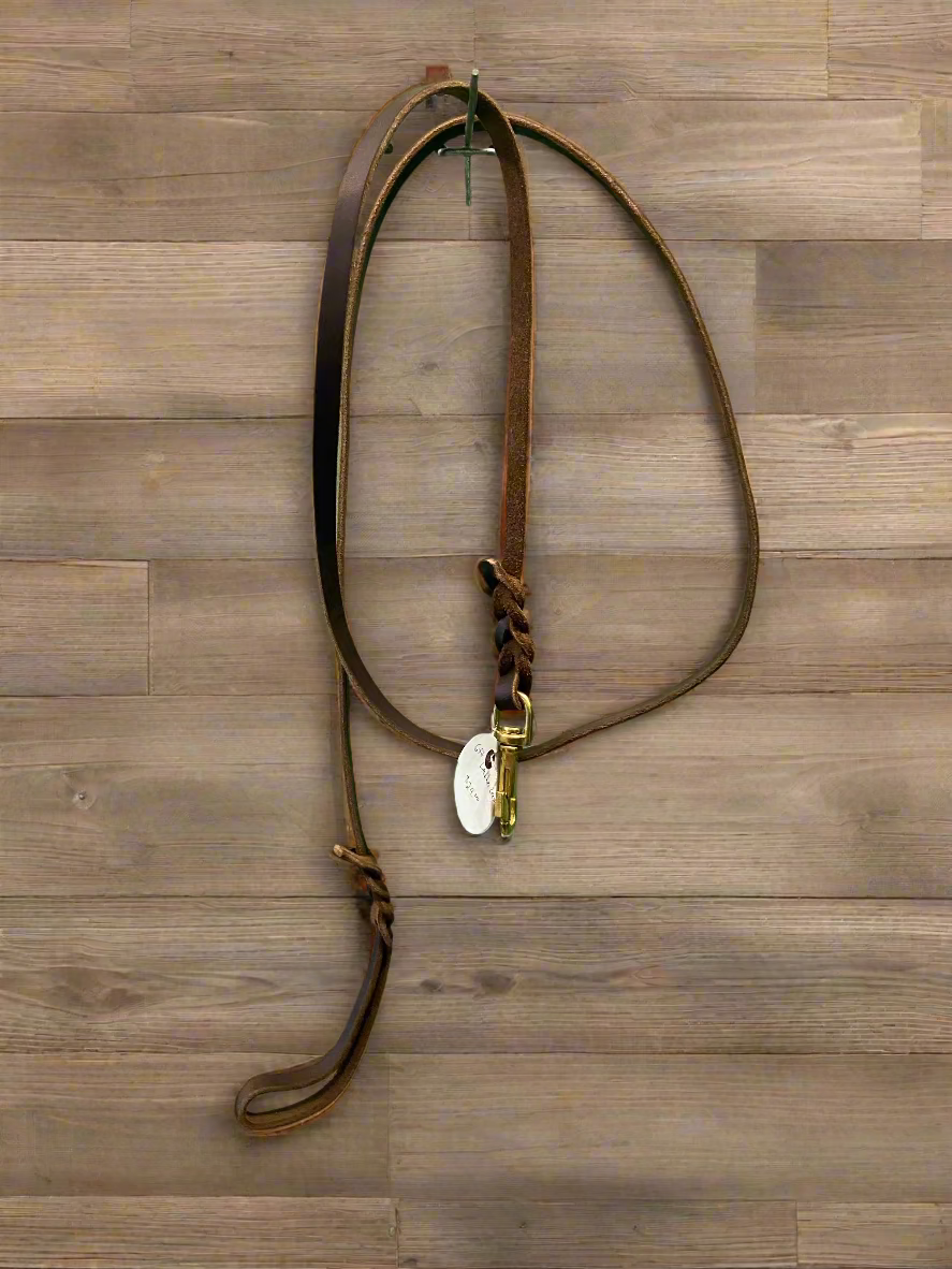 6ft Leather Leash