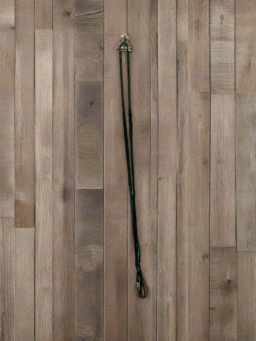Pet Leash