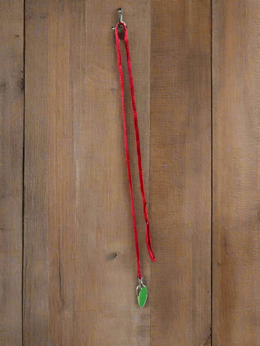 Pet Leash