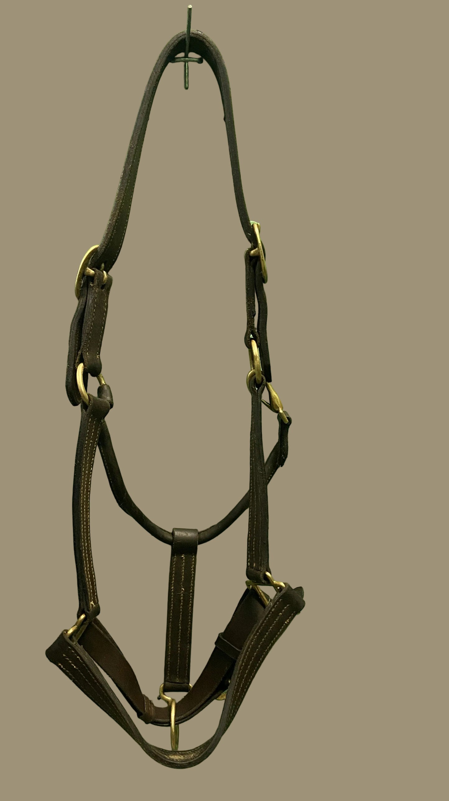 Licol en cuir - Sang chaud