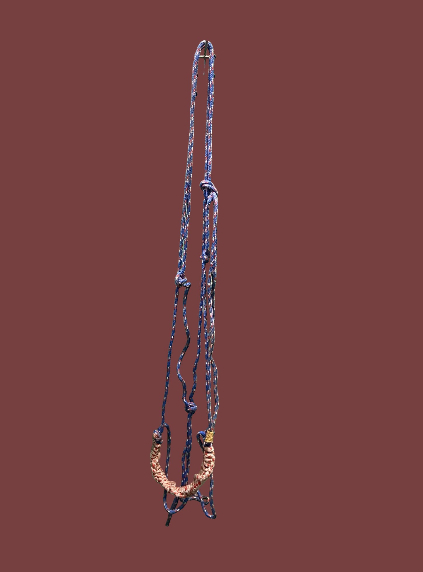 Licol en corde de trait