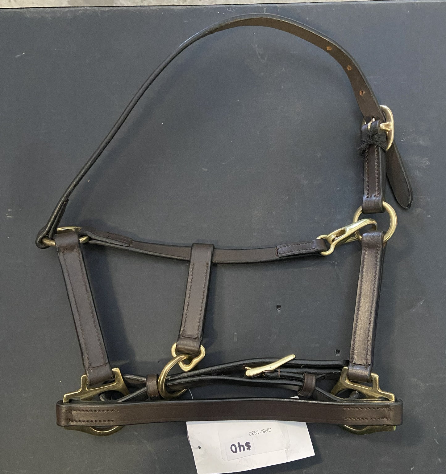 Leather Foal Halter