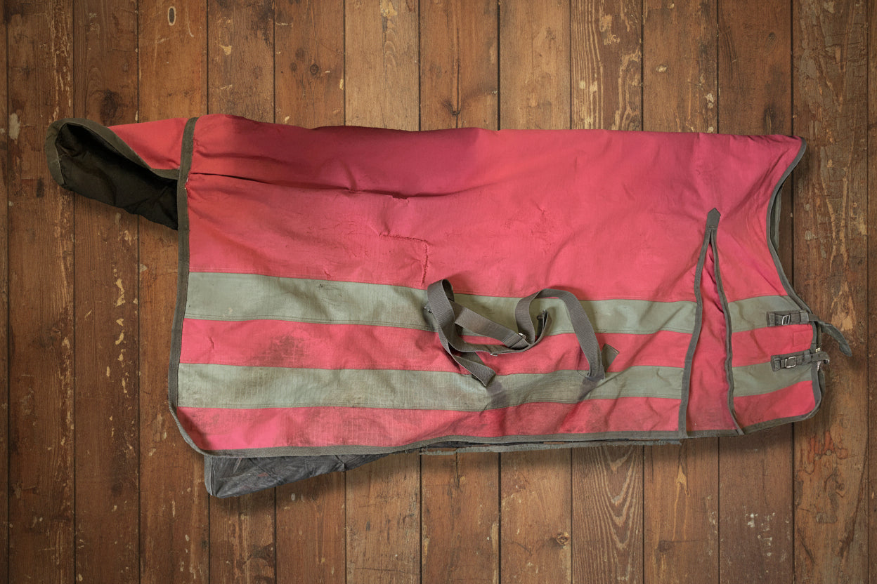 78" Canadian Horsewear Maxim Storm