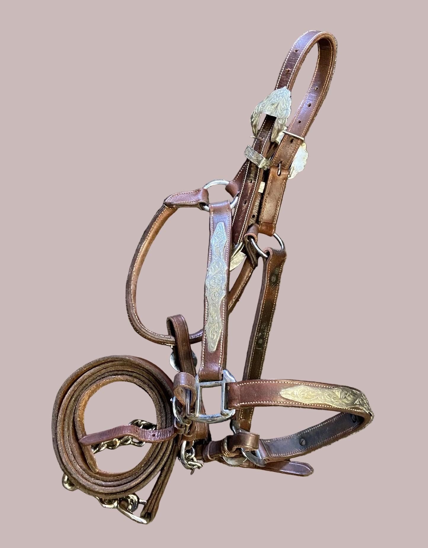 Show Halter- Horse