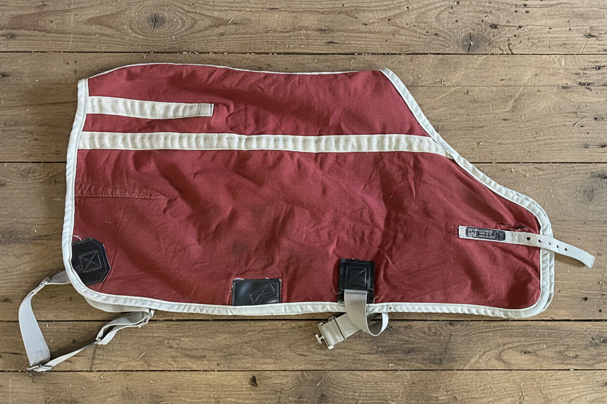 42" Glover Stable Blanket