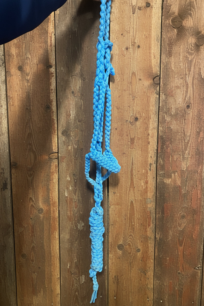 Blue Mule Tape Halter w/Lead