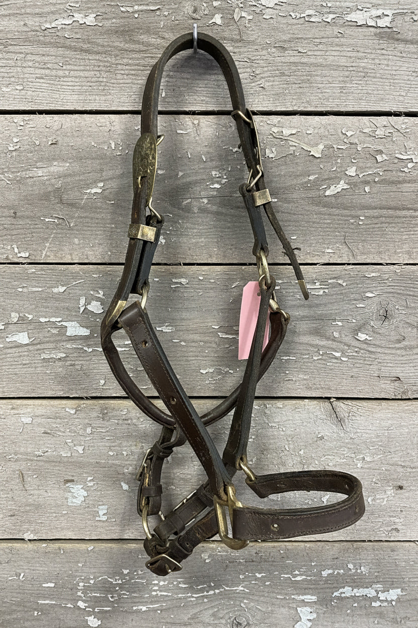 Horse Show Halter