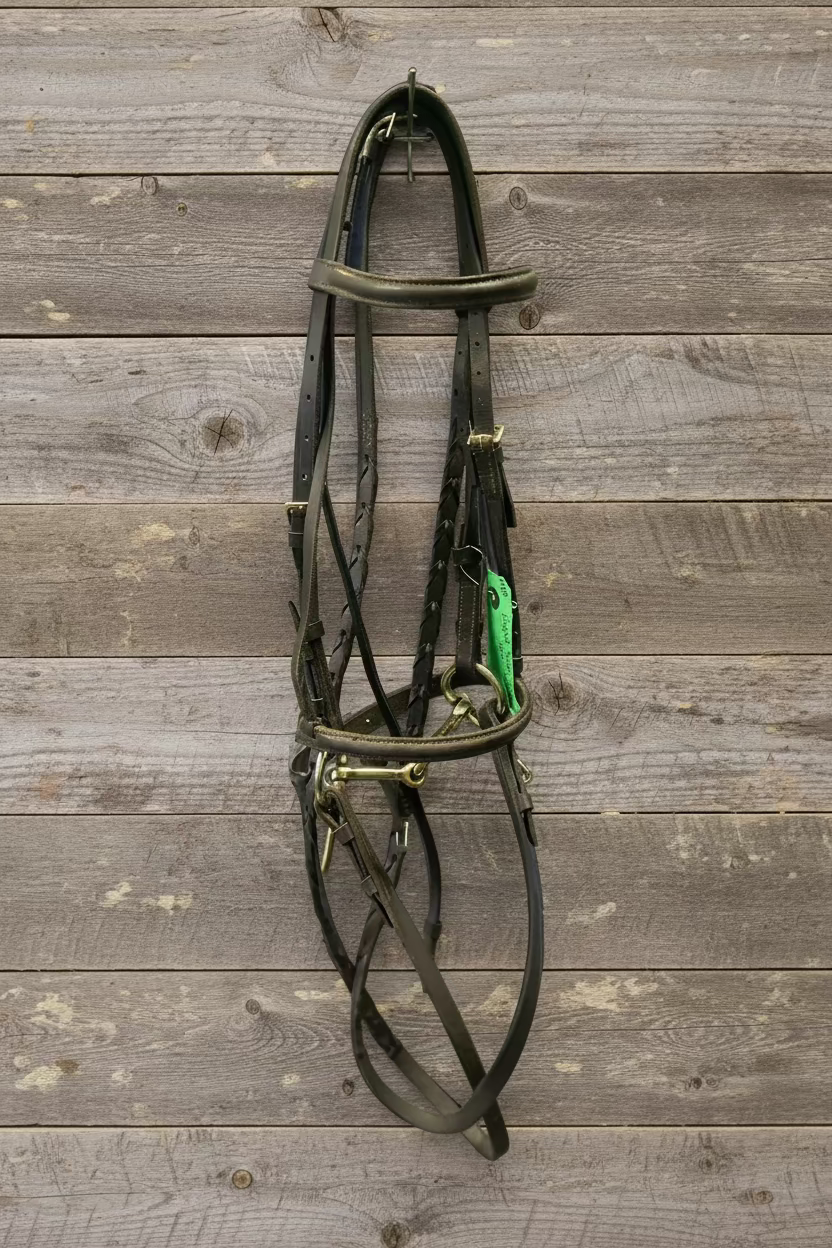 Pony Bridle w/Bit & Reins