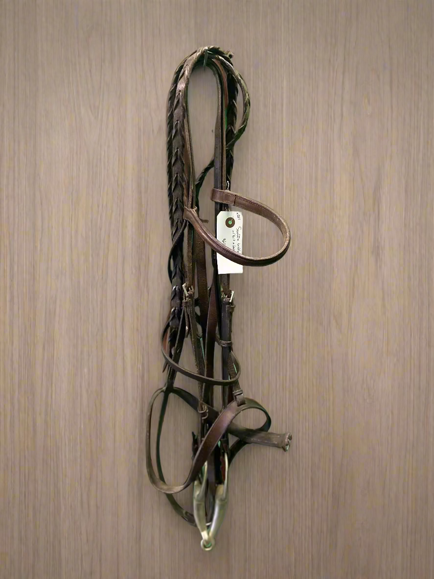 Lancer Bridle w/Reins & Bit
