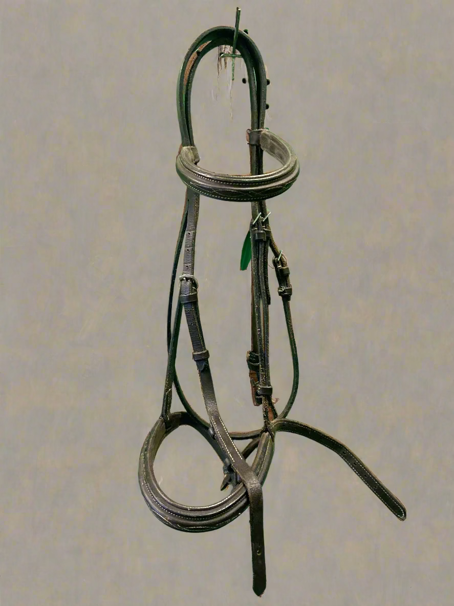 Fancy Stitch Raised Bridle