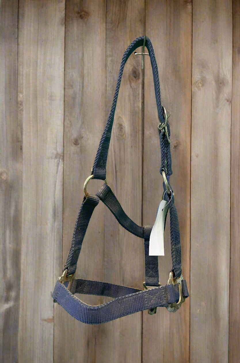 Nylon Halter- Pony