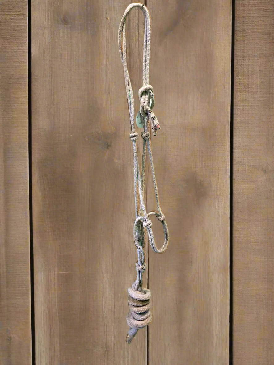 Rope Halter w/Lead