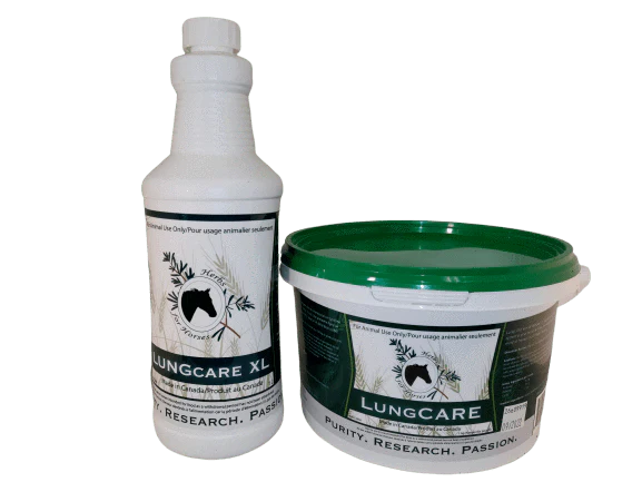 Herbs for Horses- Lungcare XL Powder