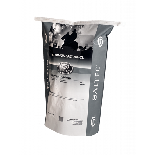 Bagged Common Salt
