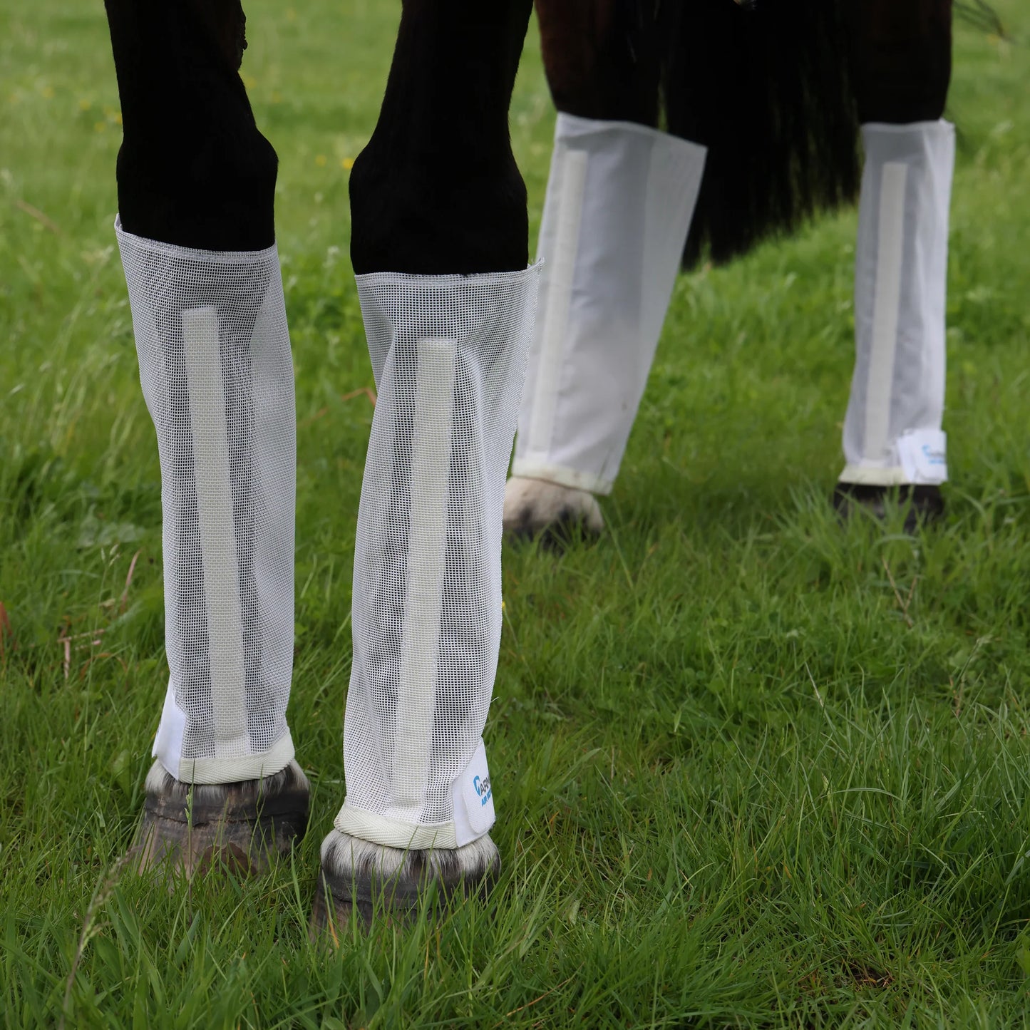 Arma Mesh Fly Boots- Natural